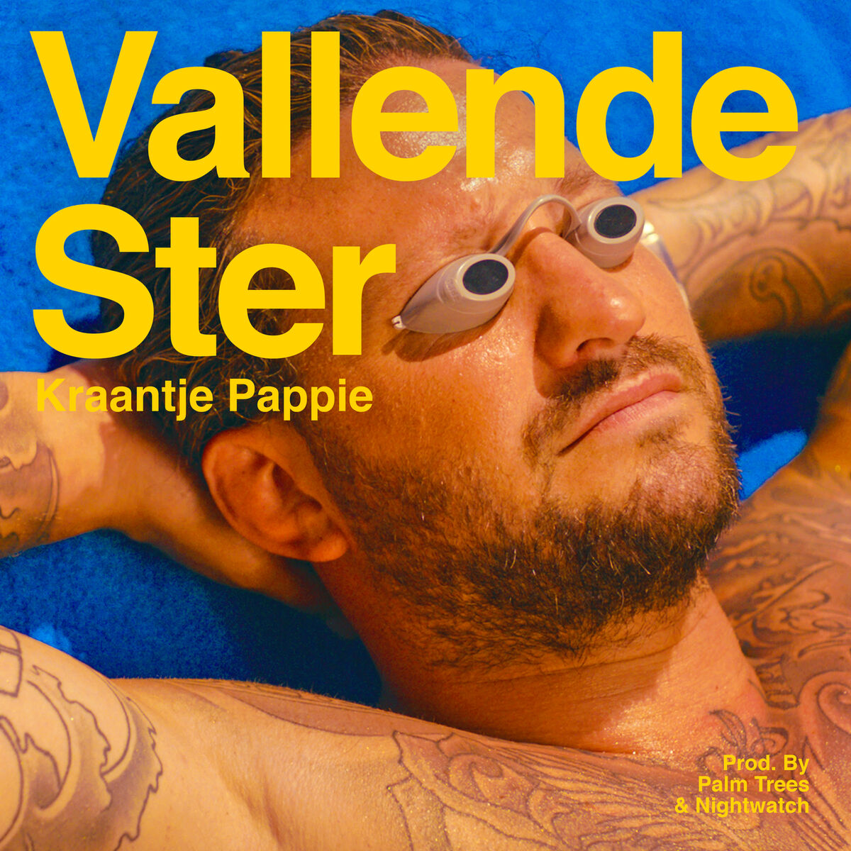 Album cover of Vallende Ster