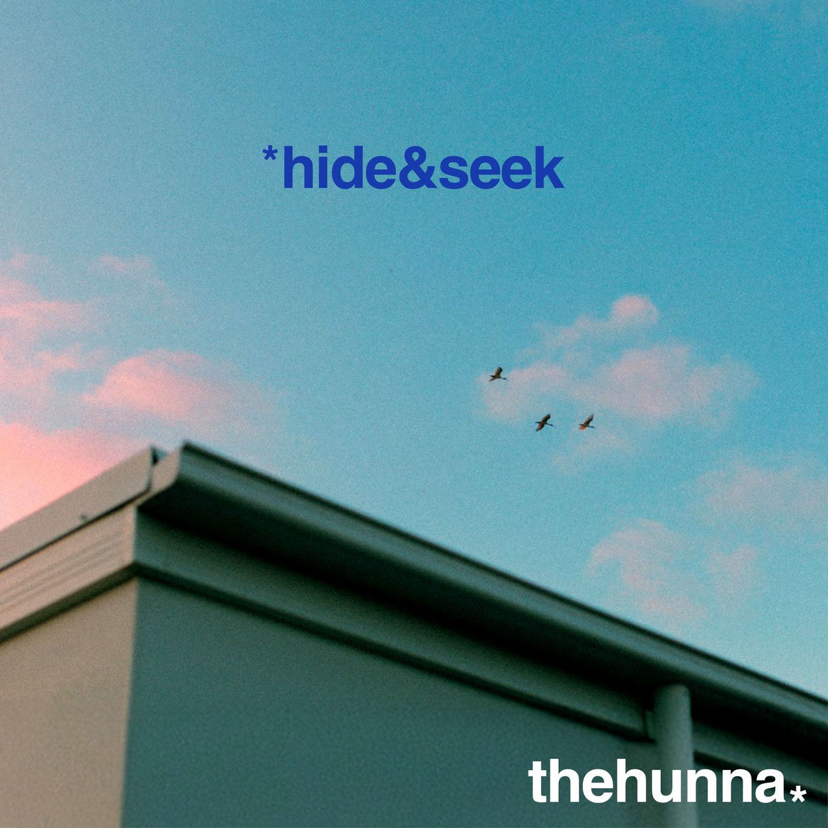 Album cover of hide & seek