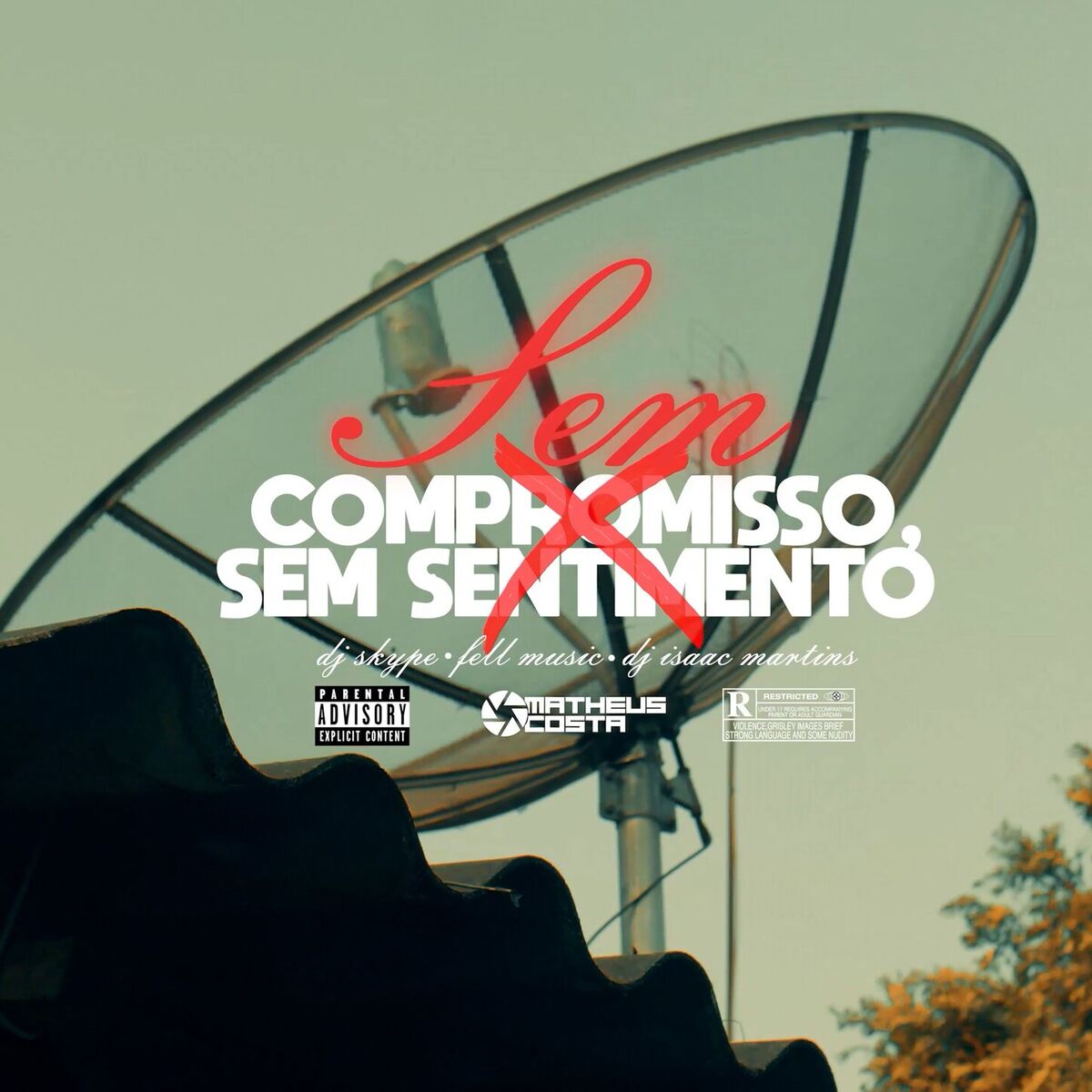 Album cover of Sem compromisso sem sentimento