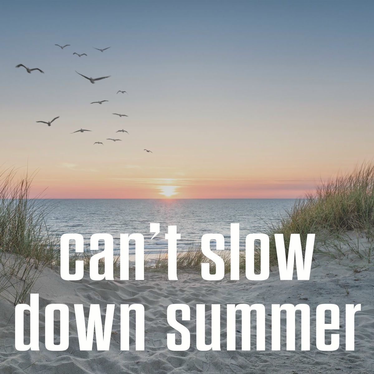 Album cover of can't slow down summer