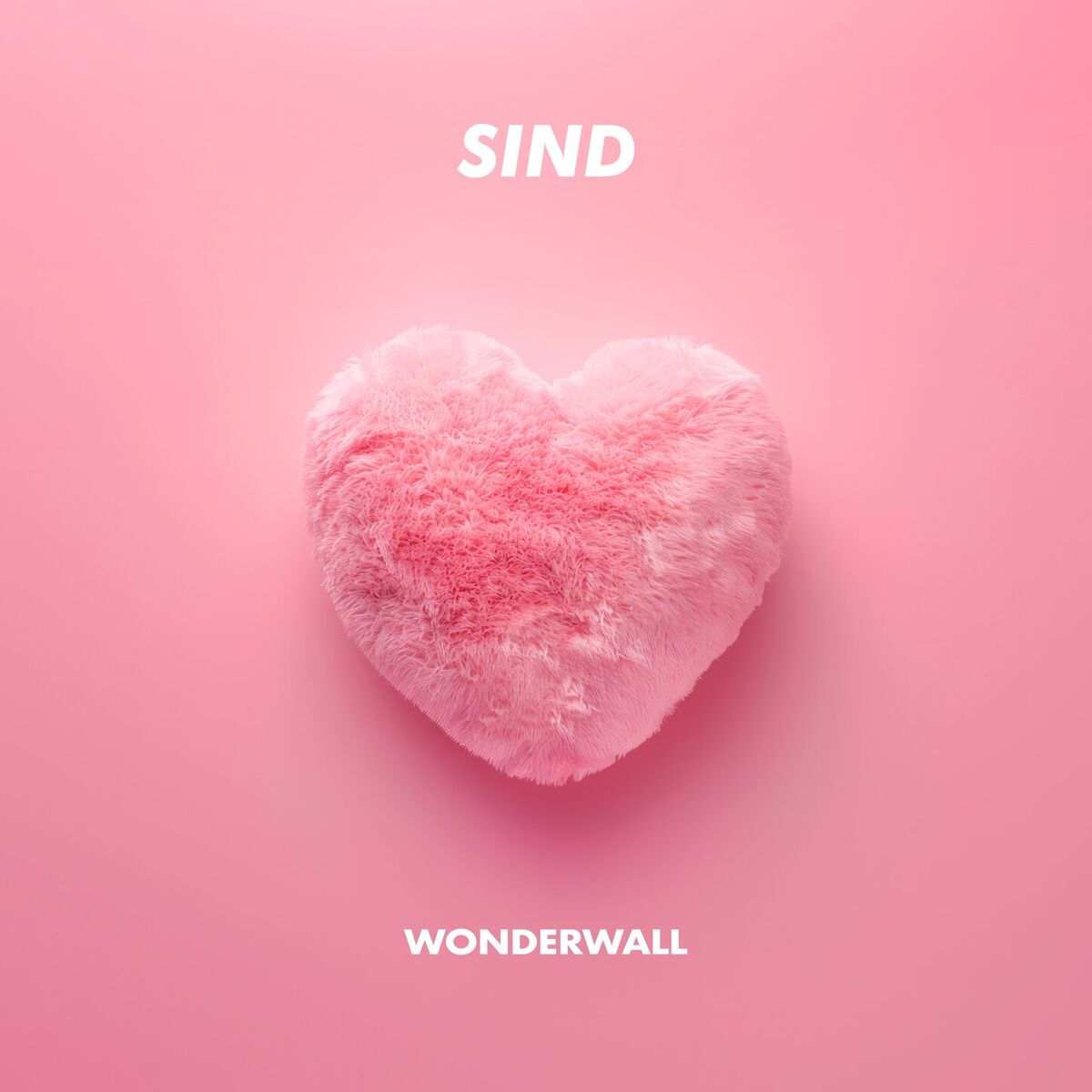 Album cover of Wonderwall