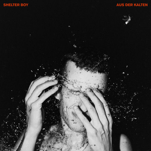 Descargar Z - Shelter Boy MP3