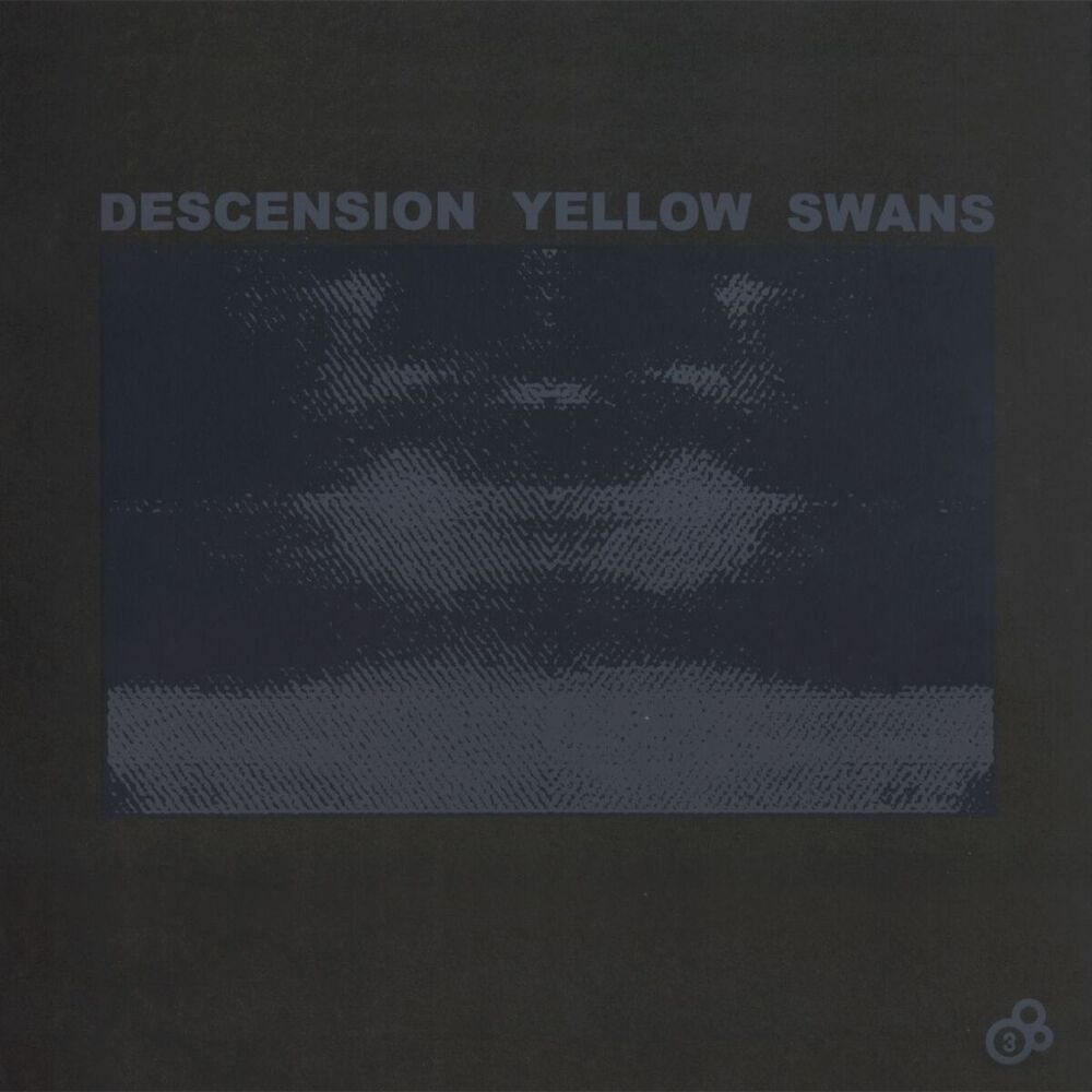 Picture of Descension Yellow Swans