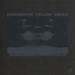 Cover of Descension Yellow Swans
