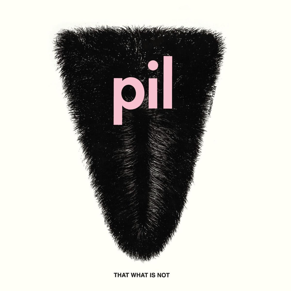 PIL「The Public Image is Rotten」5CD＋2DVD Public Image Limited – The Public Image Is Rotten (Songs
