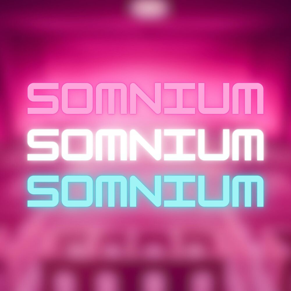 Picture of Somnium