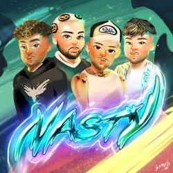 Cover of Nasty
