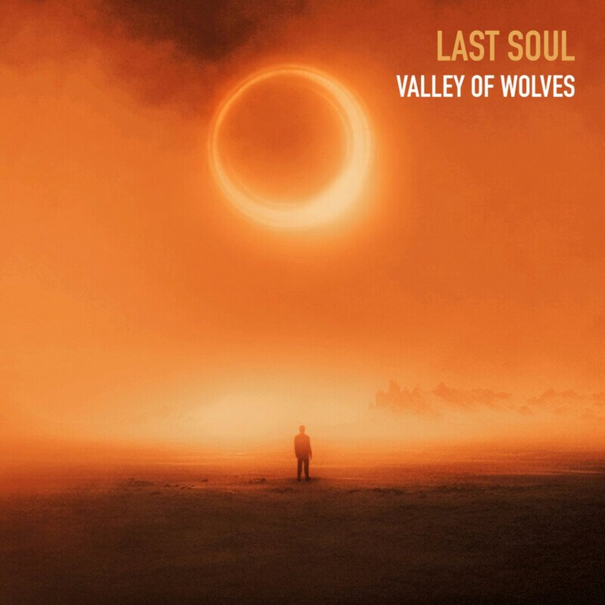 Album cover of Last Soul