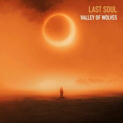 Cover of Last Soul