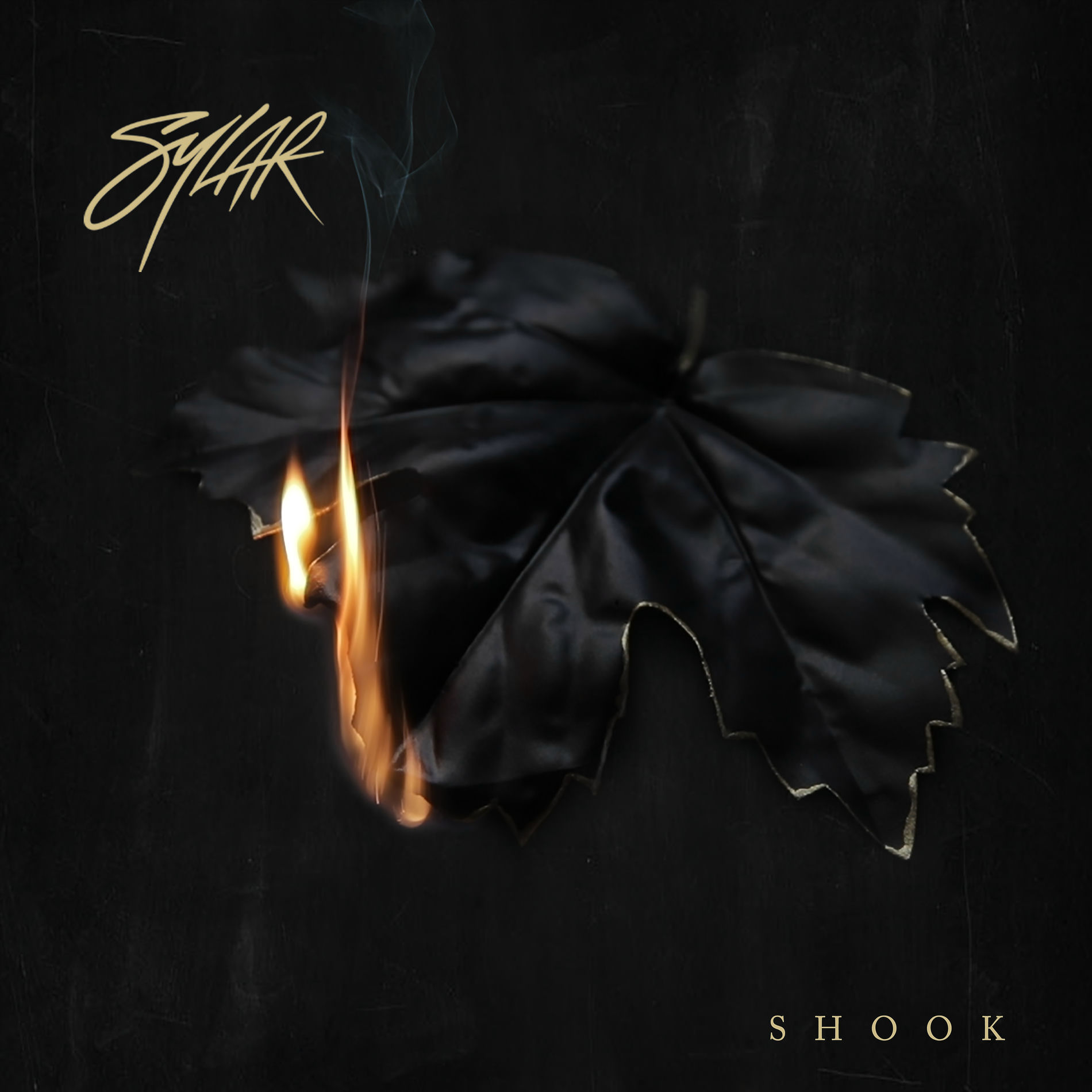 Album cover of SHOOK!