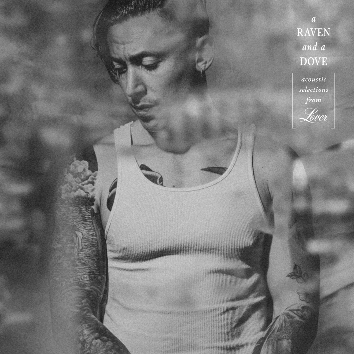 Album cover of A Raven and a Dove - Acoustic Selections from Lover