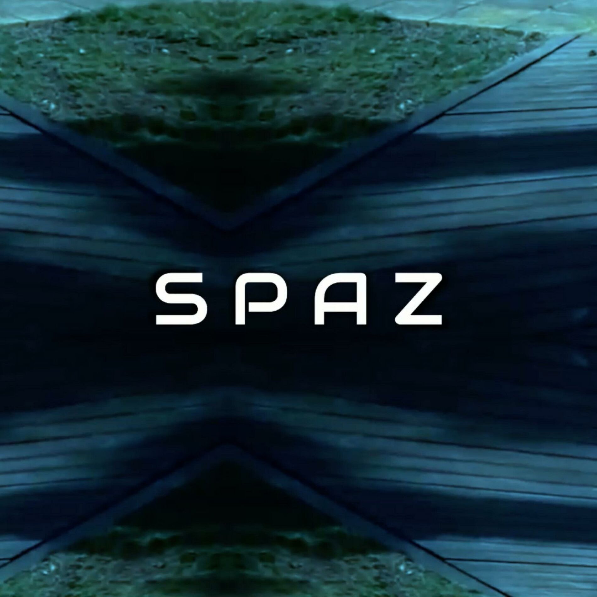 Album cover of Spaz