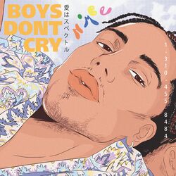 Cover of Boys Don't Cry