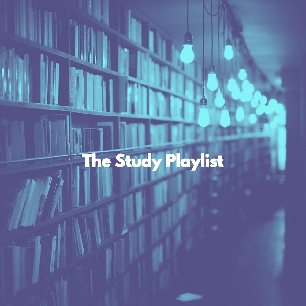 Picture of The Study Playlist