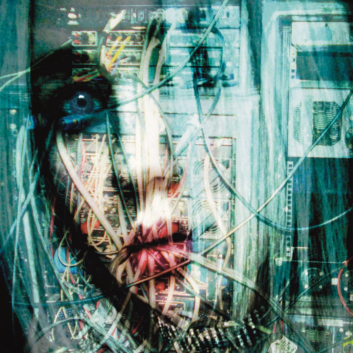 Album cover of Planet Paparazzi