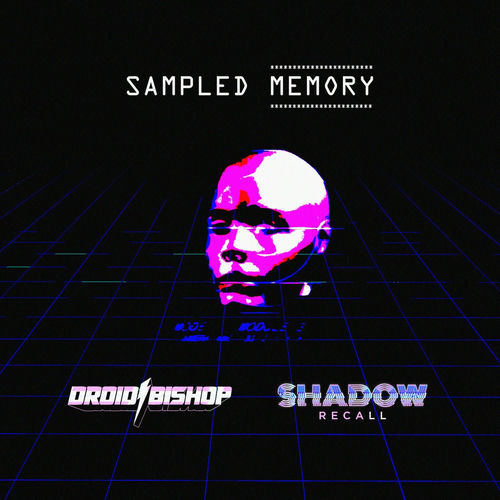 Sampled Memory