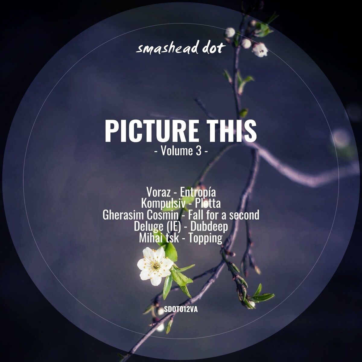 Album cover of Picture This, Vol. 3