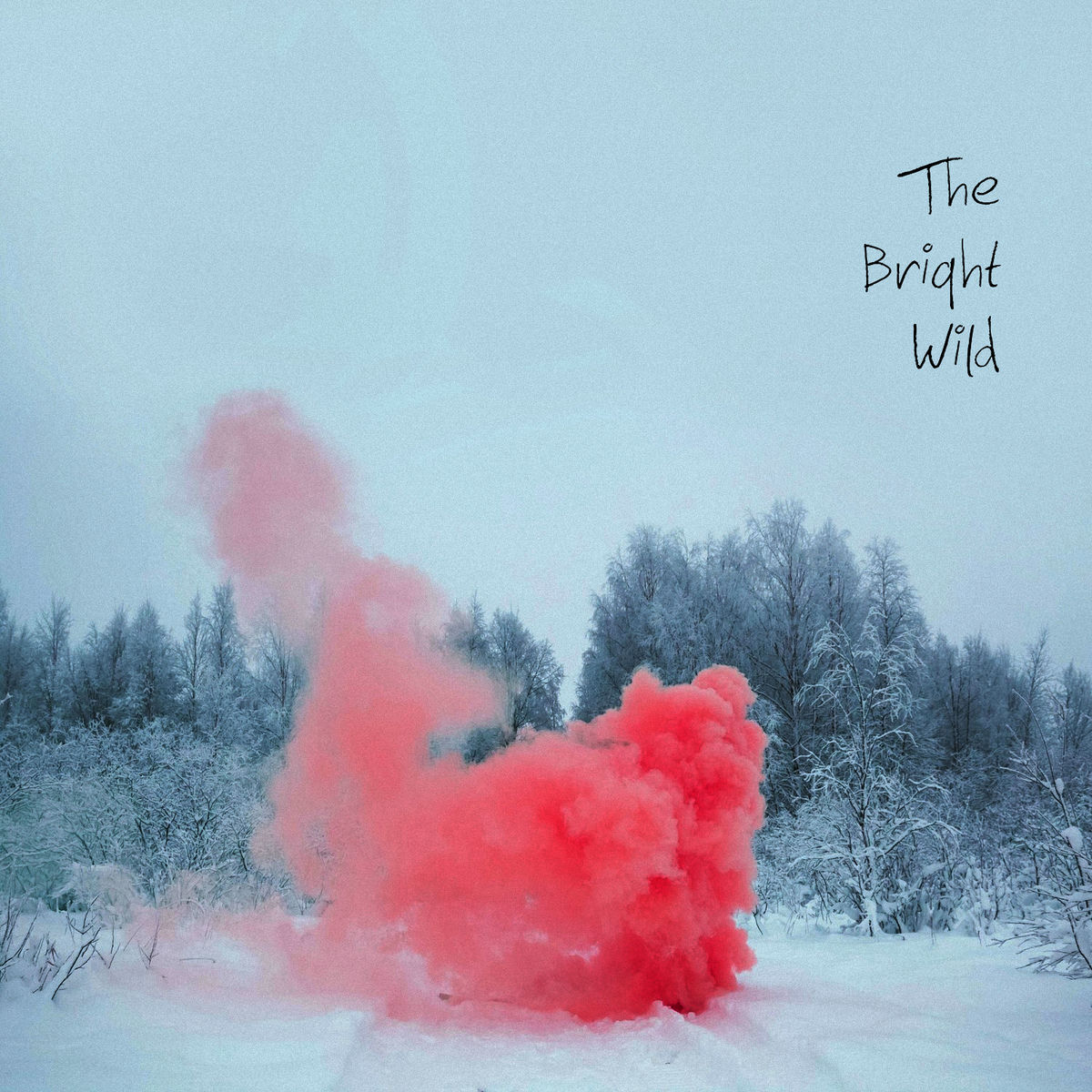 Album cover of The Bright Wild