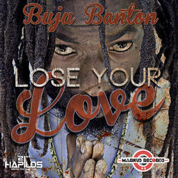 Cover of Lose Your Love