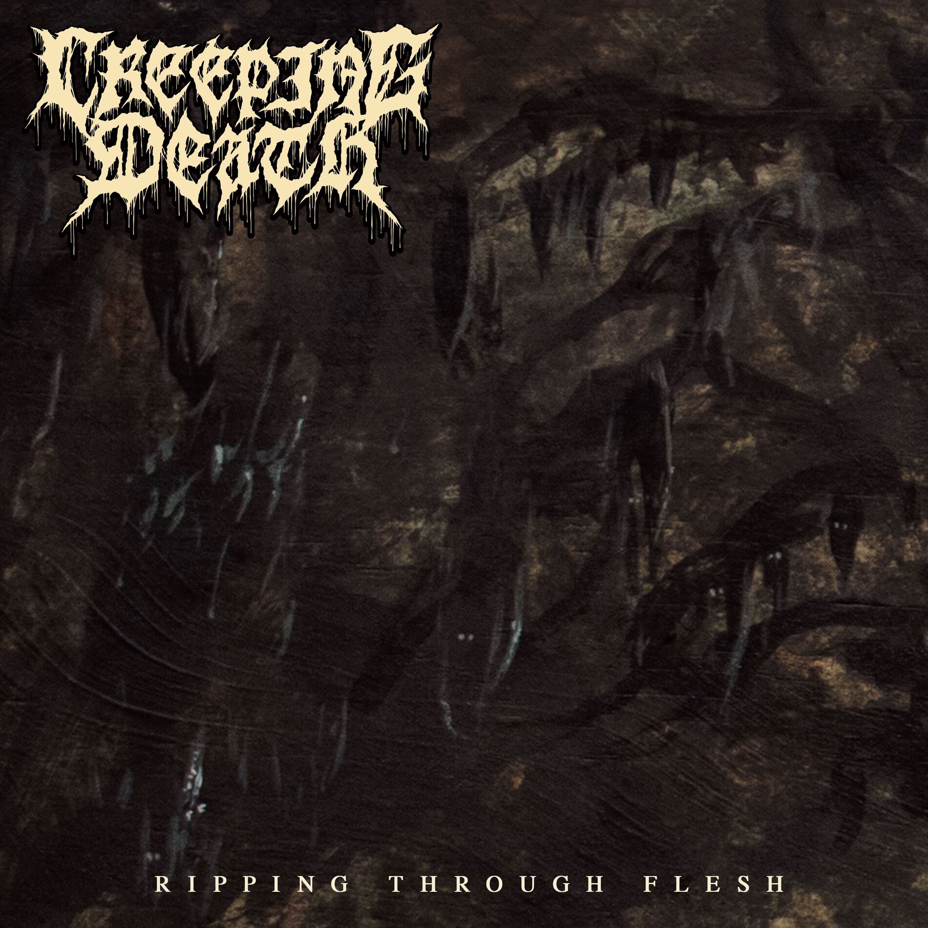 Album cover of Ripping Through Flesh