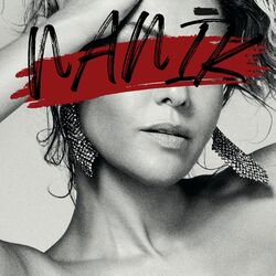 Cover of Nanik