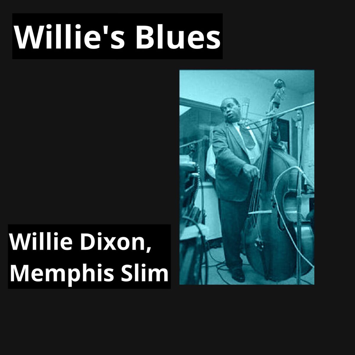 Album cover of Willie's Blues