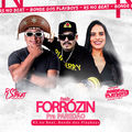 Remix Forrozin Pra Pared&atilde;o (Remix)
