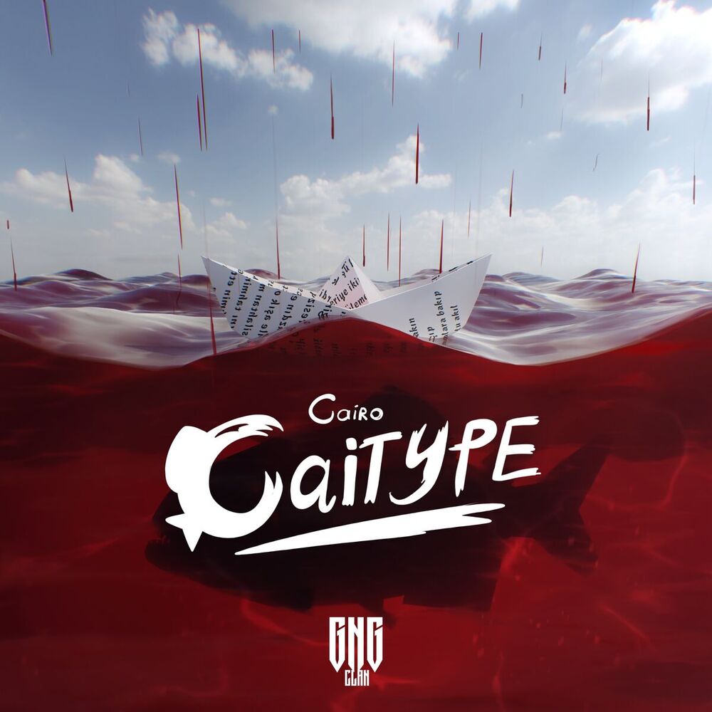 Picture of CAITYPE