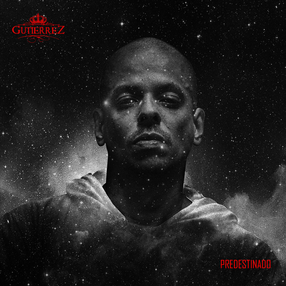 Album cover of Predestinado