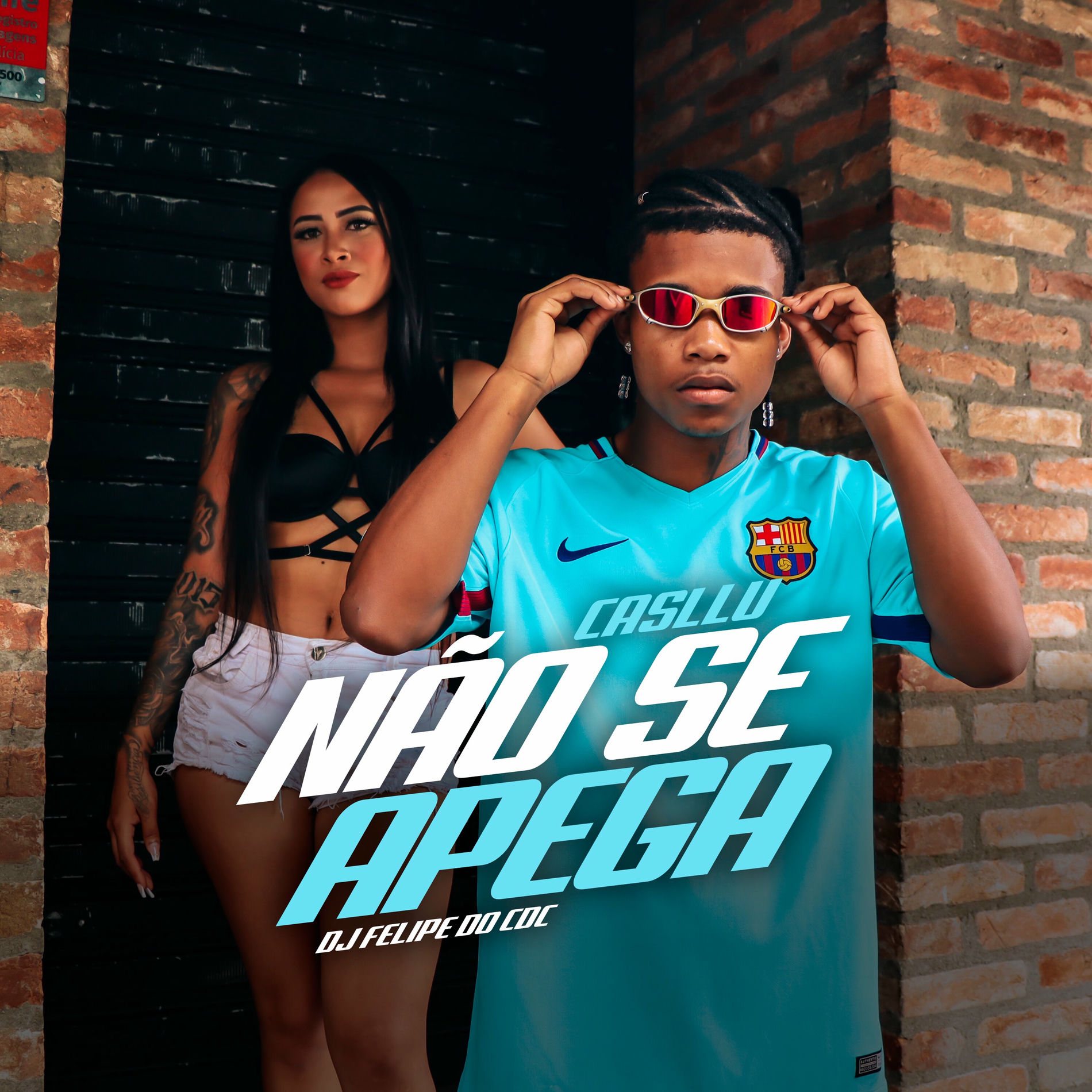 Album cover of Não se Apega