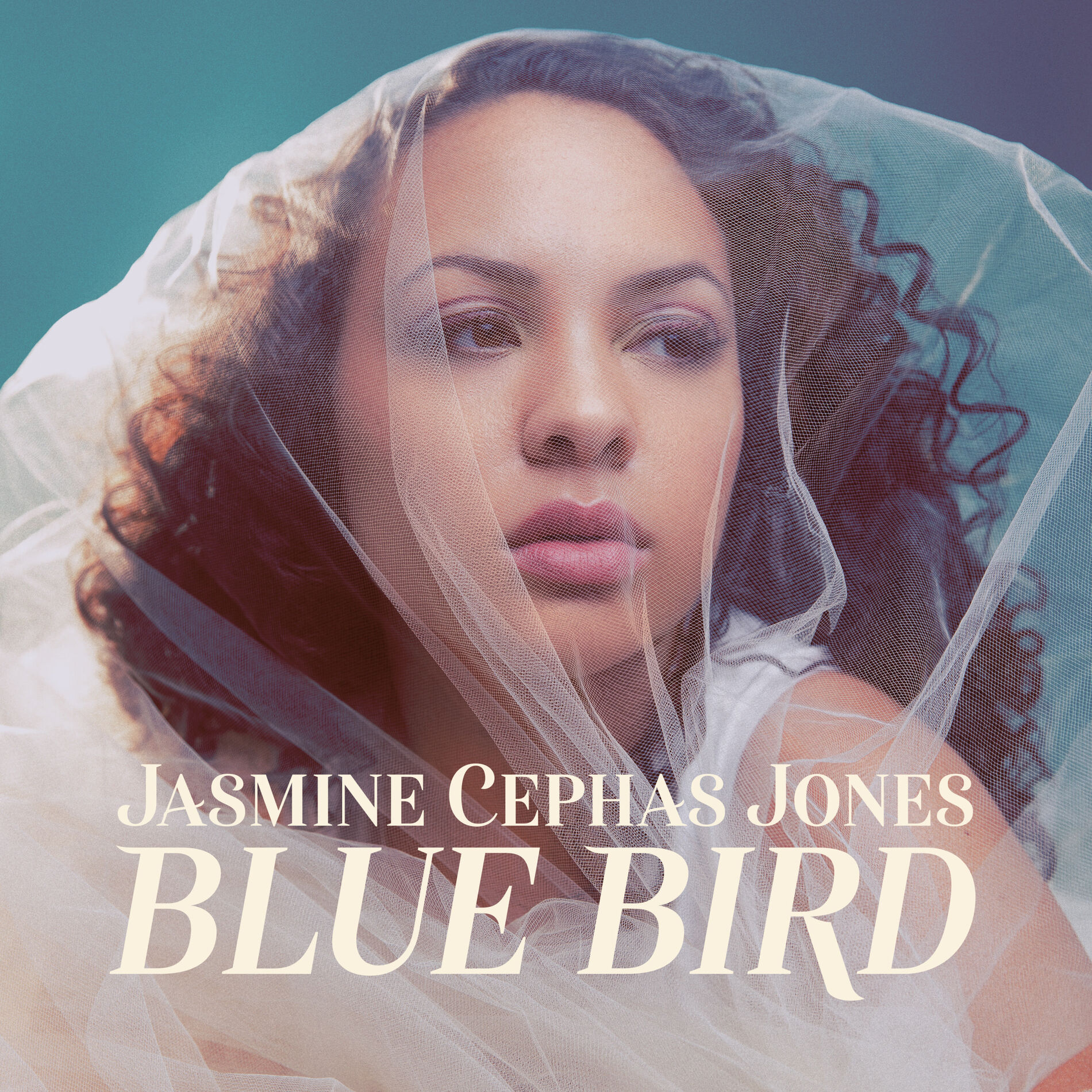Album cover of Blue Bird
