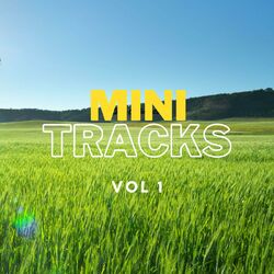 Cover of Mini Tracks, Vol. 1