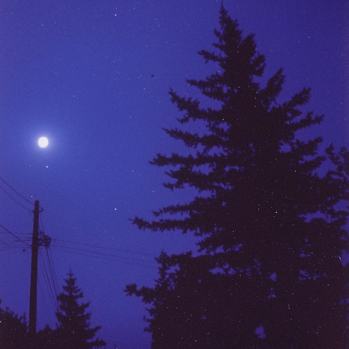Album cover of do I matter?