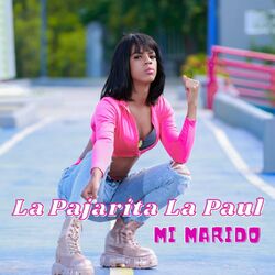 Cover of Mi Marido