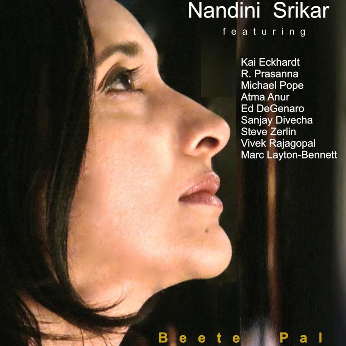Album cover of Beete Pal