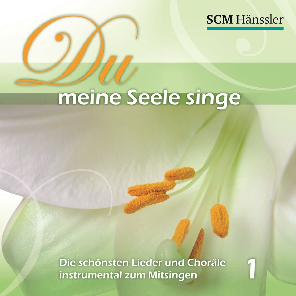 Album cover of Du meine Seele singe