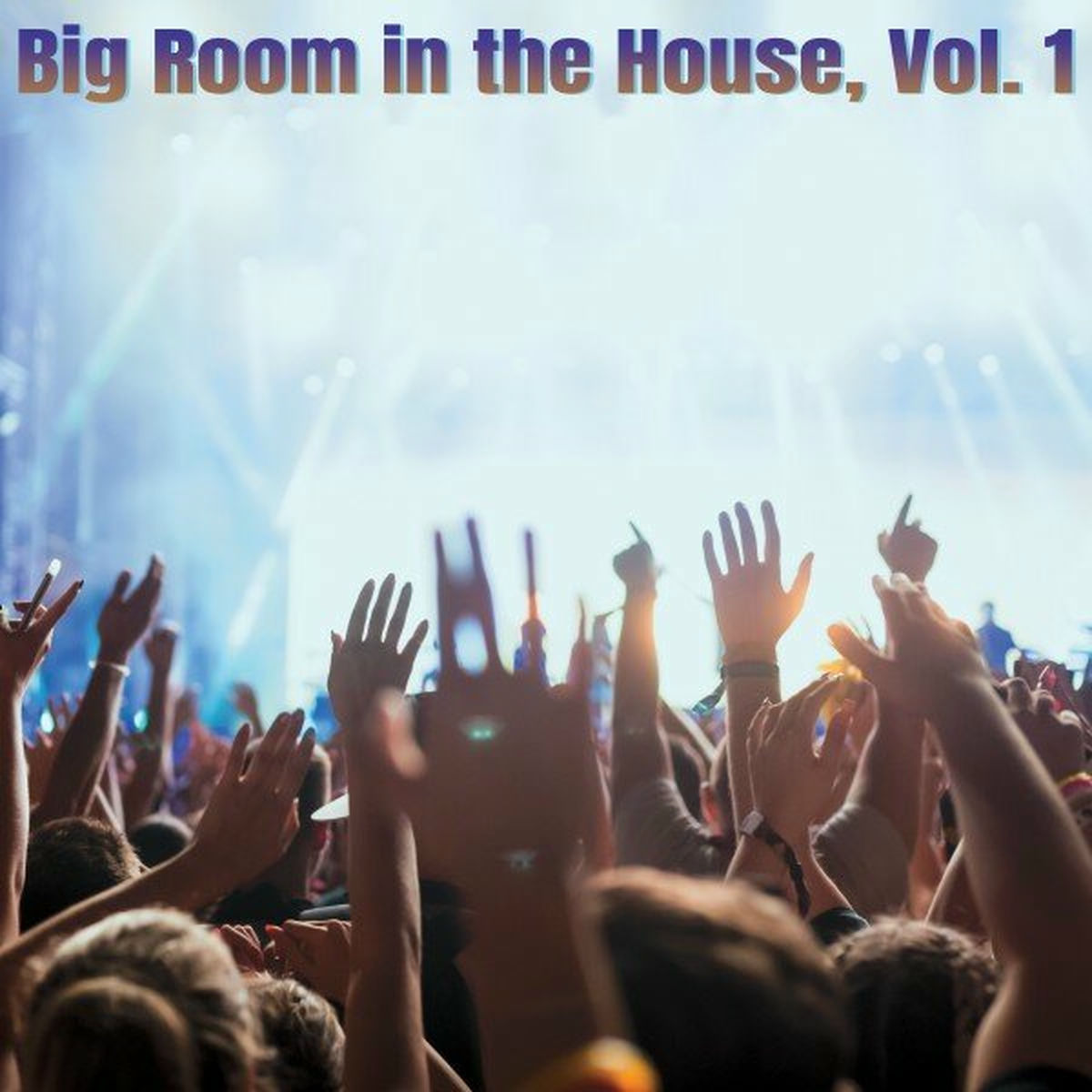 Album cover of Big Room in the House, Vol. 1