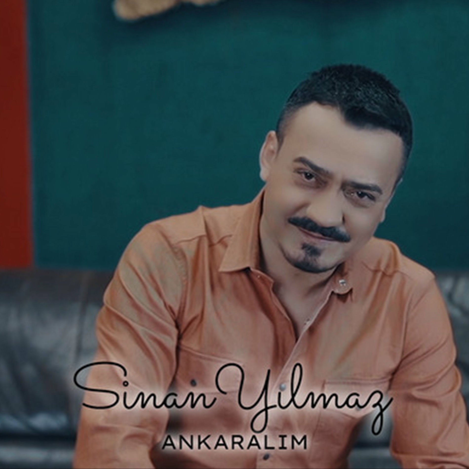 Album cover of Ankaralım