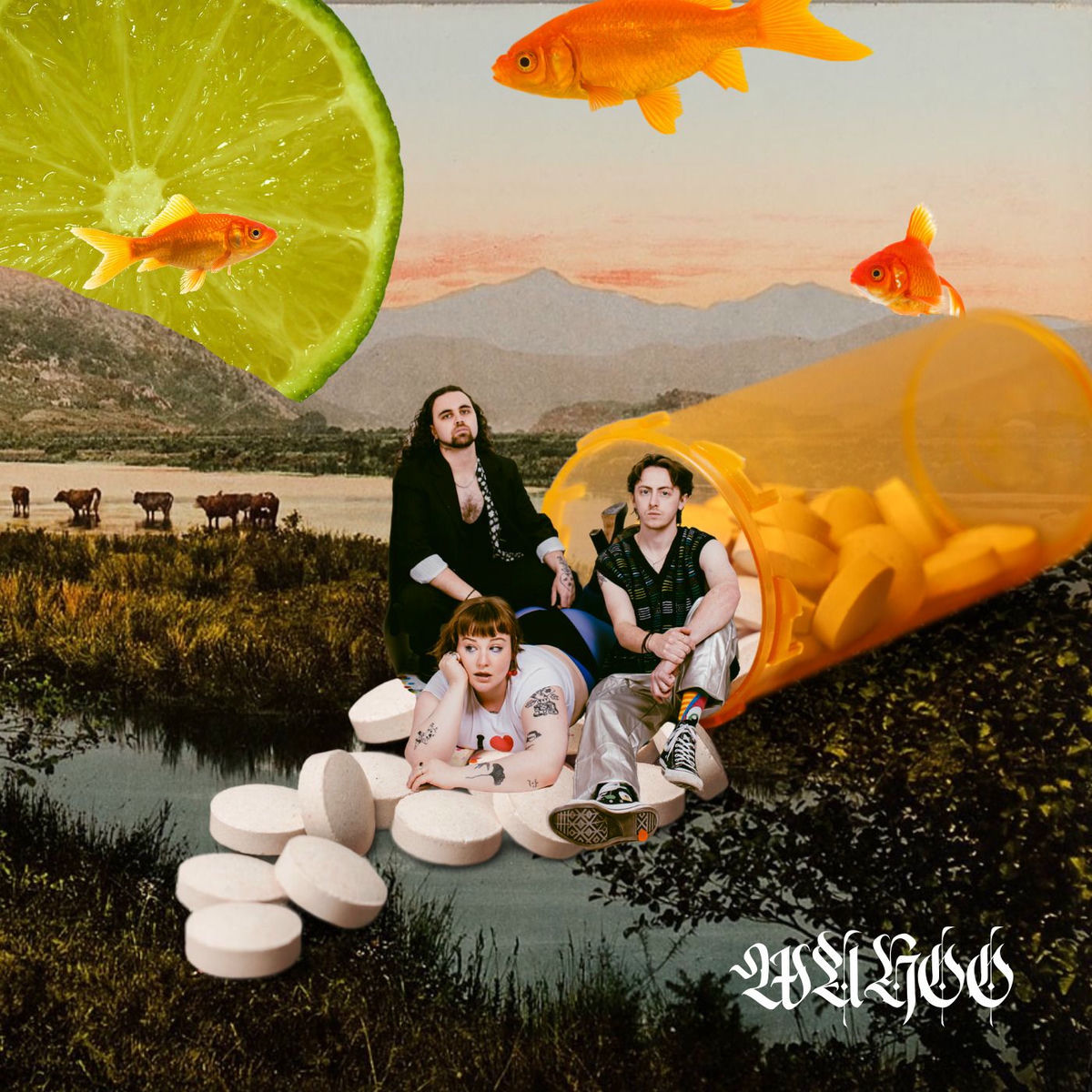 Album cover of Wahoo