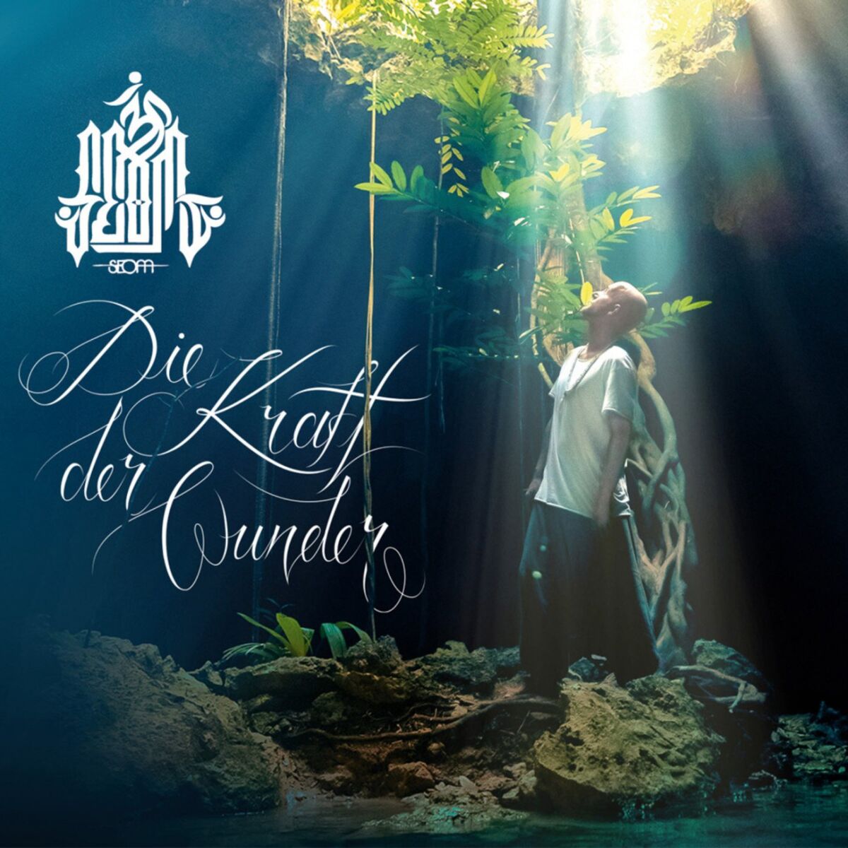 Album cover of Die Kraft der Wunder