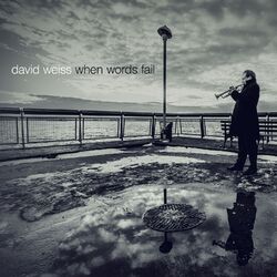 Cover of When Words Fail