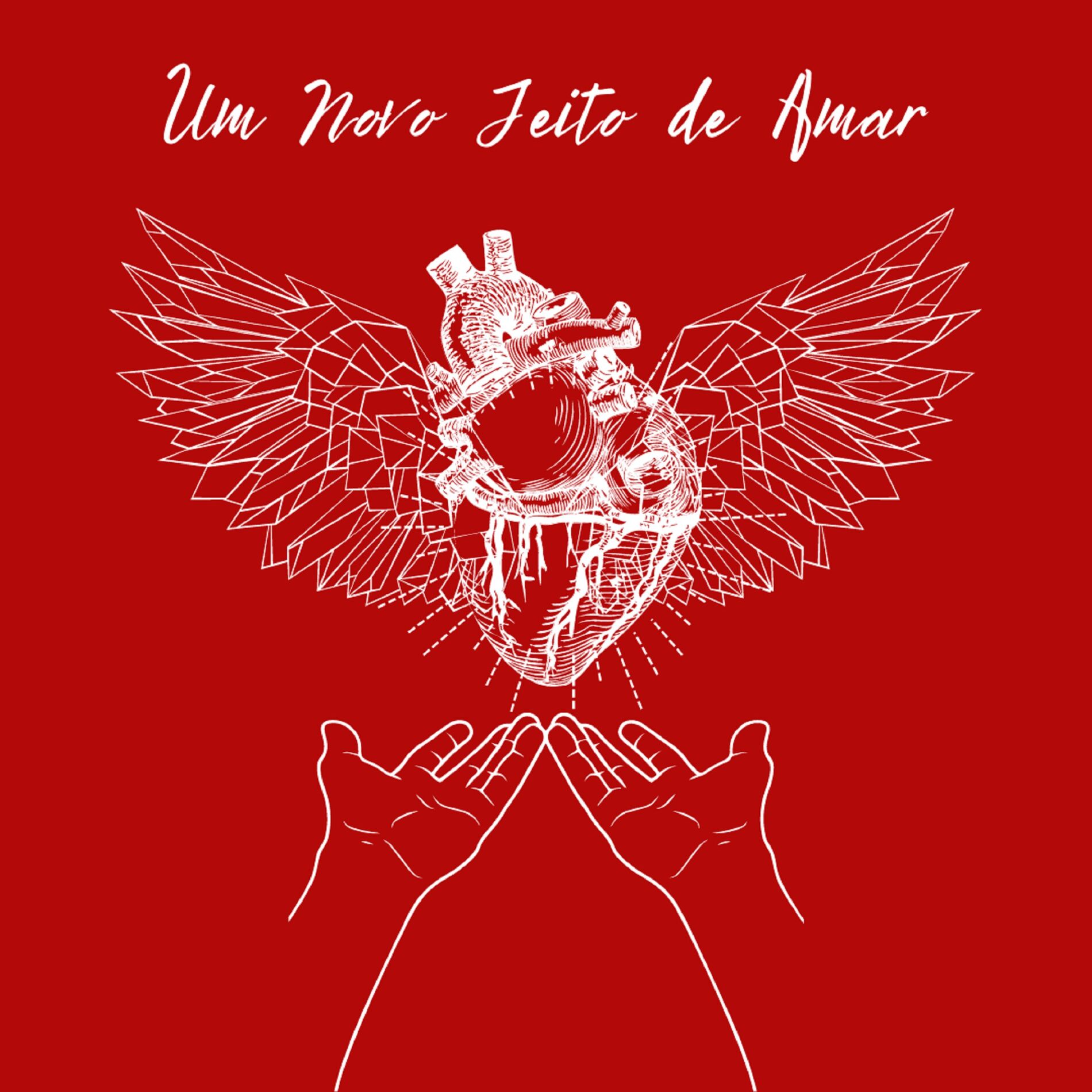 Album cover of Um Novo Jeito de Amar
