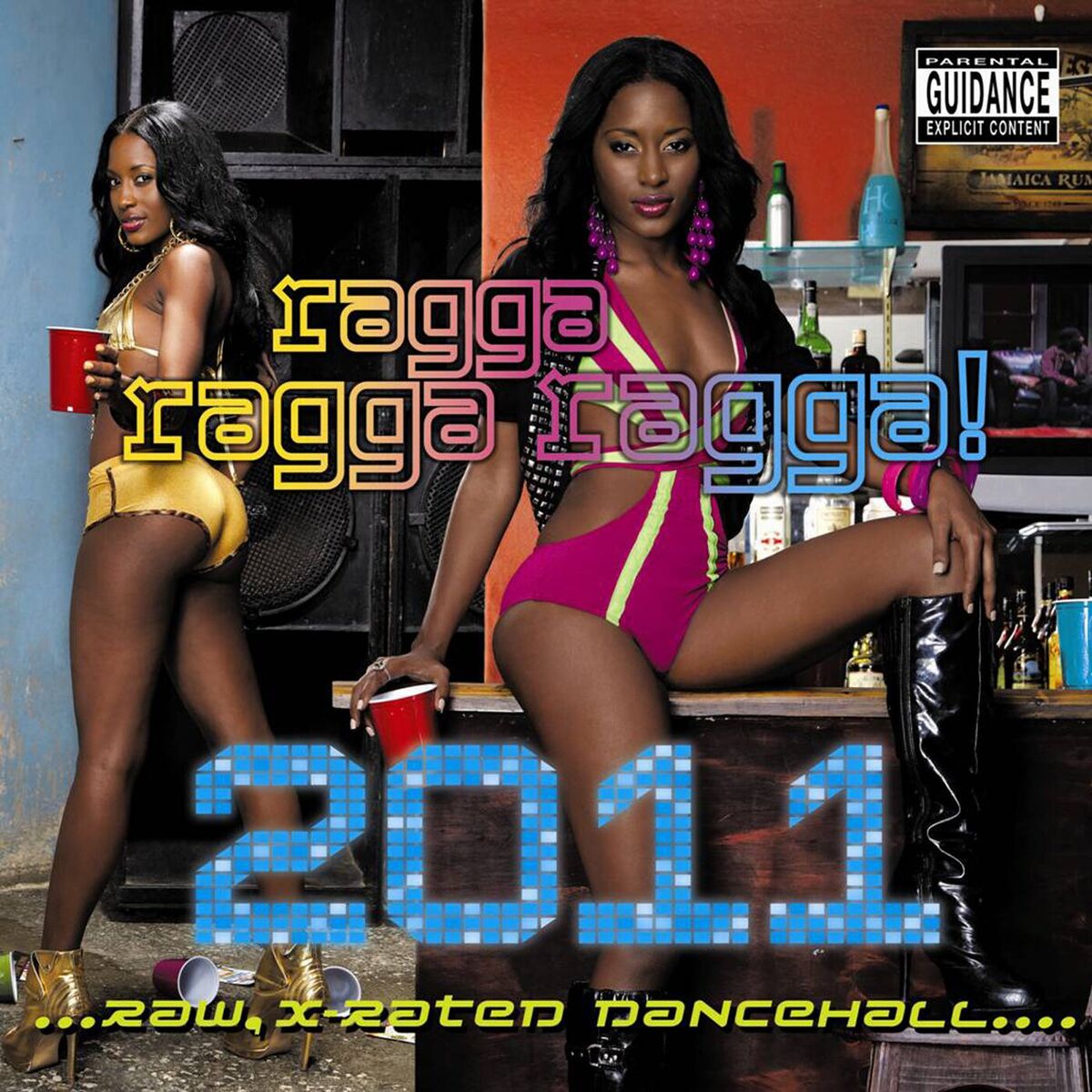 Album cover of No Love Inna Dem