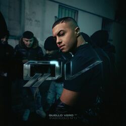 Cover of QUELLO VERO