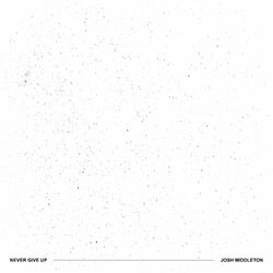 Cover of Never Give Up