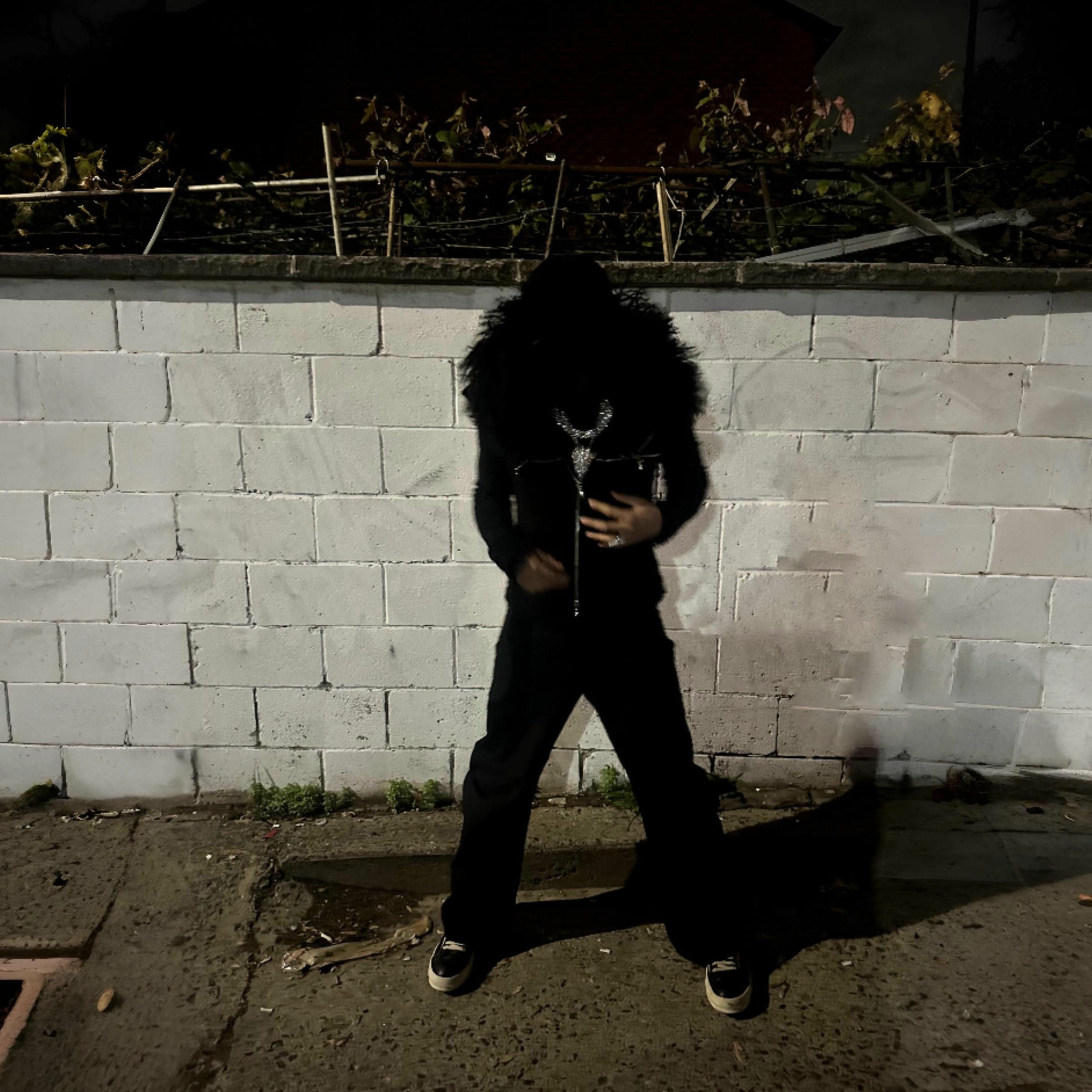 Album cover of Dan Marino