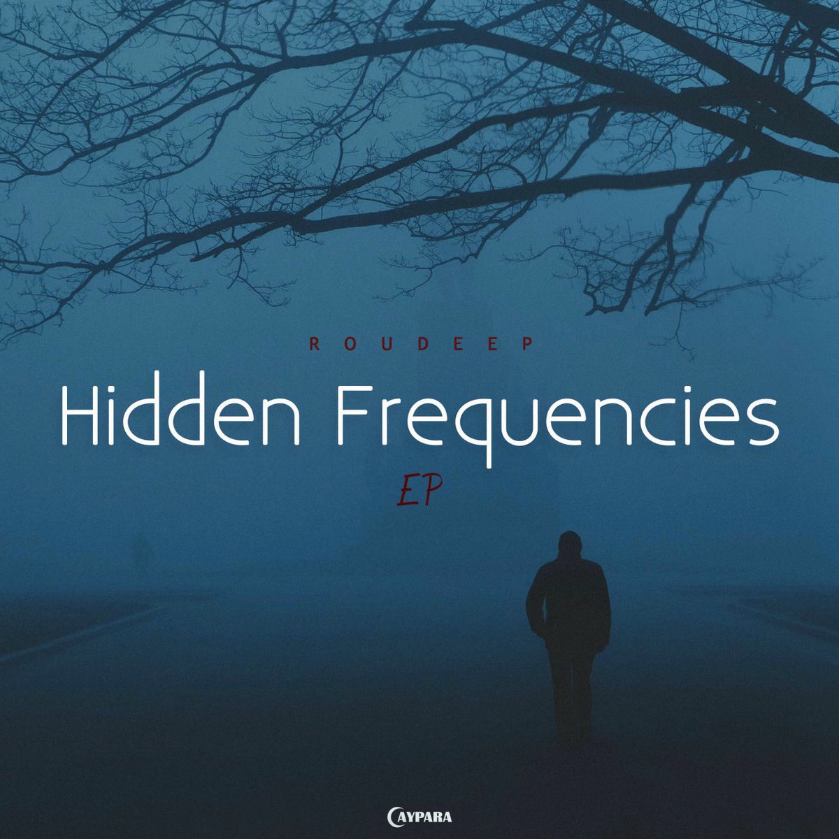 Album cover of Hidden Frequencies
