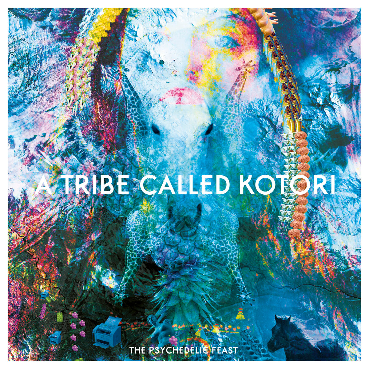 Album cover of Voice of Tohe
