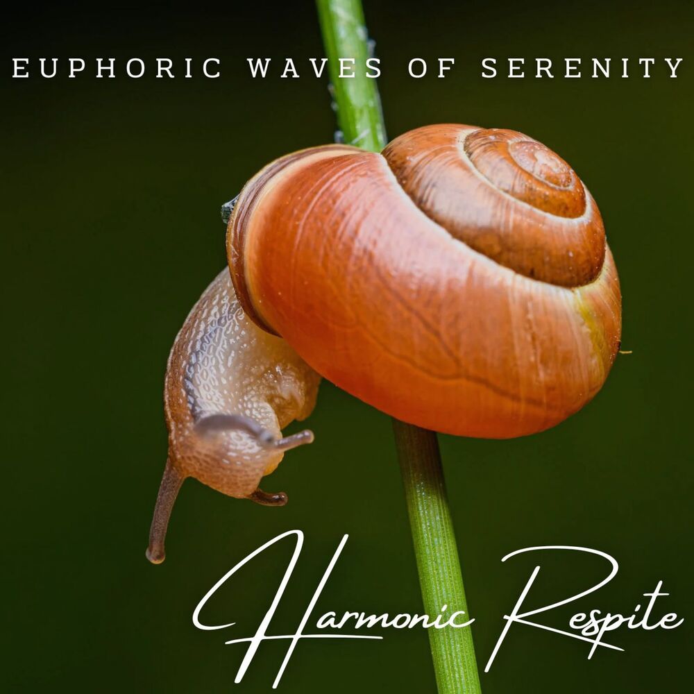 Picture of Harmonic Respite: Meditative Piano for Spa Bliss