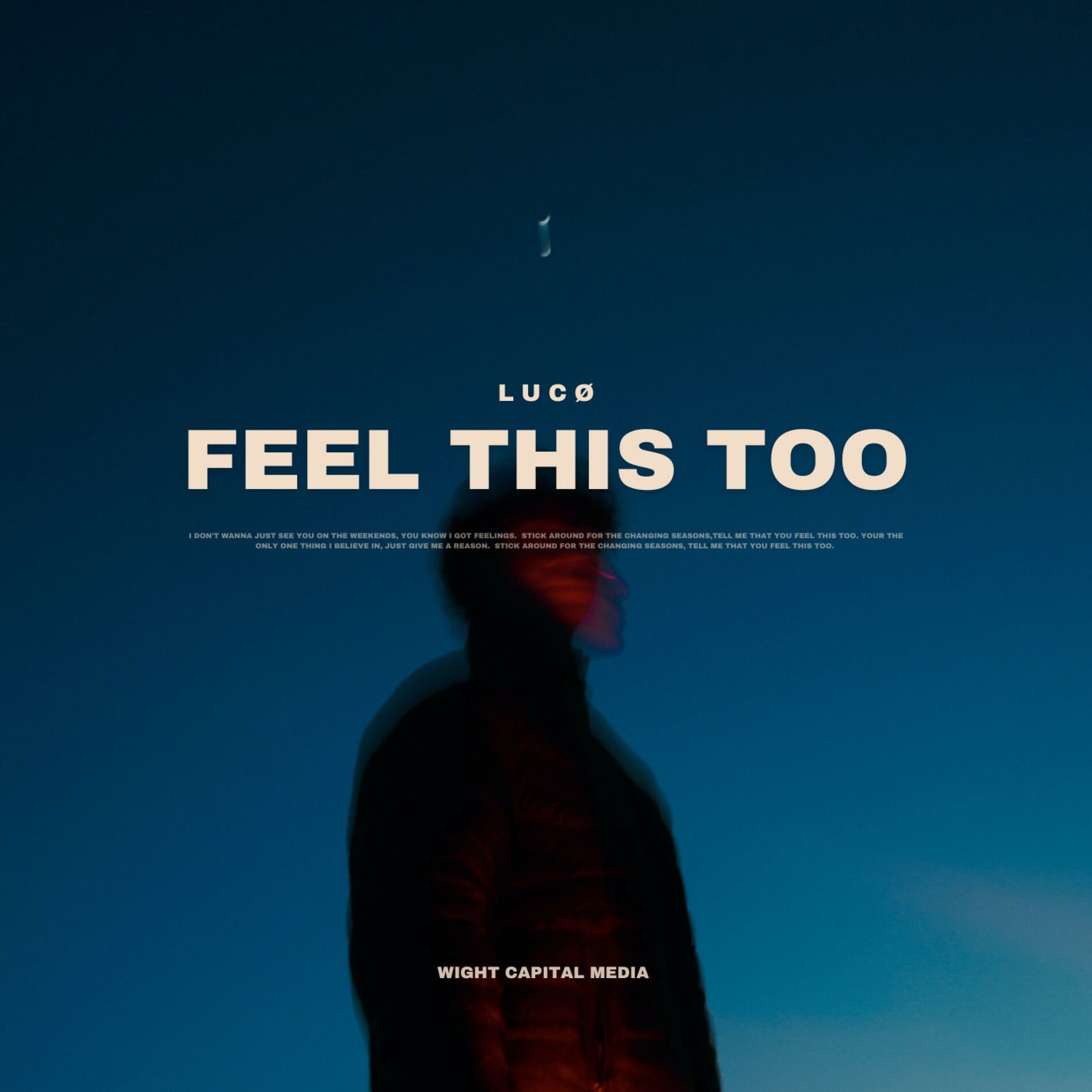 Album cover of Feel This Too